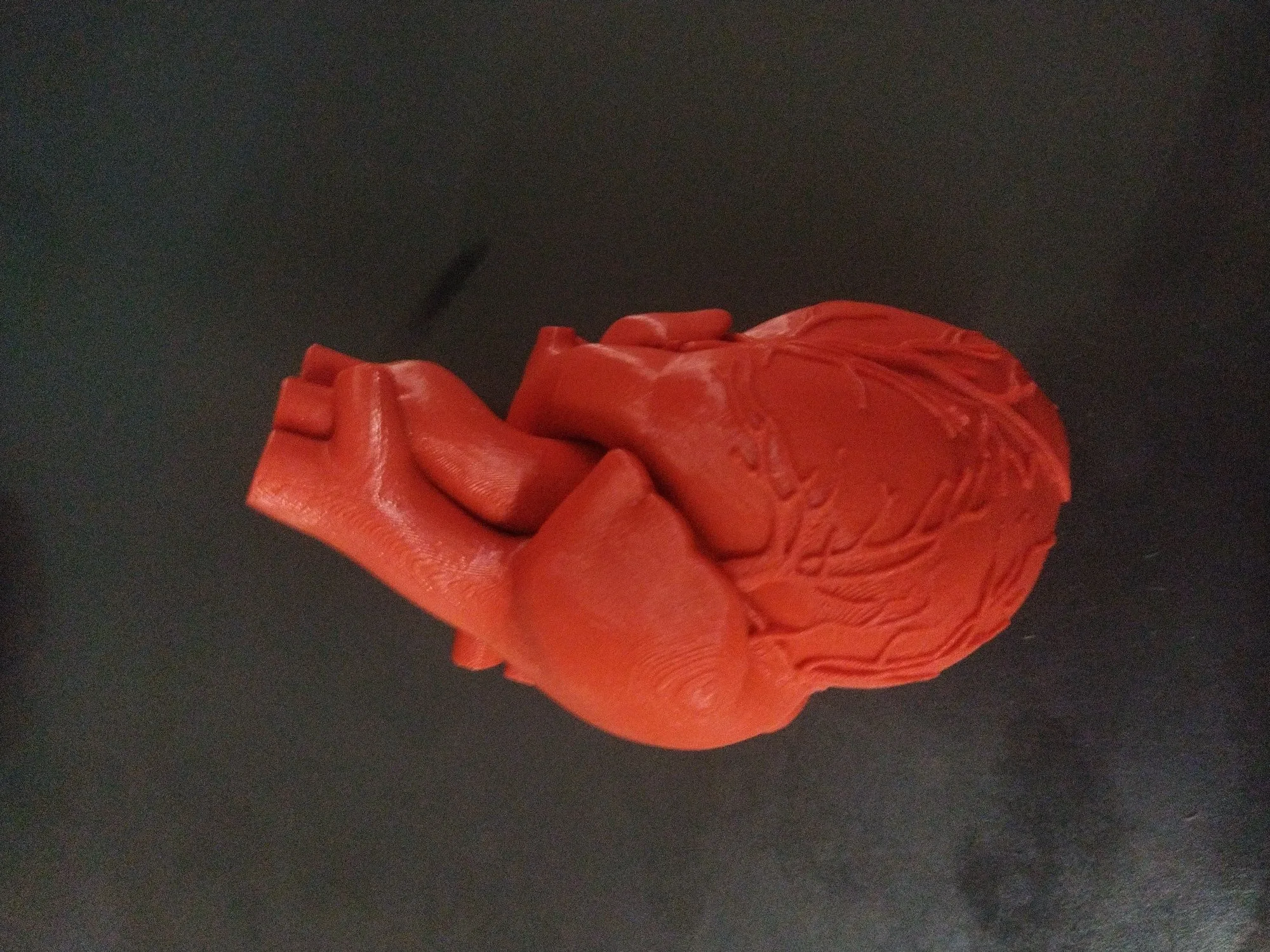 Сердце из пластика напечатаное на 3д приниере (5 / 5)