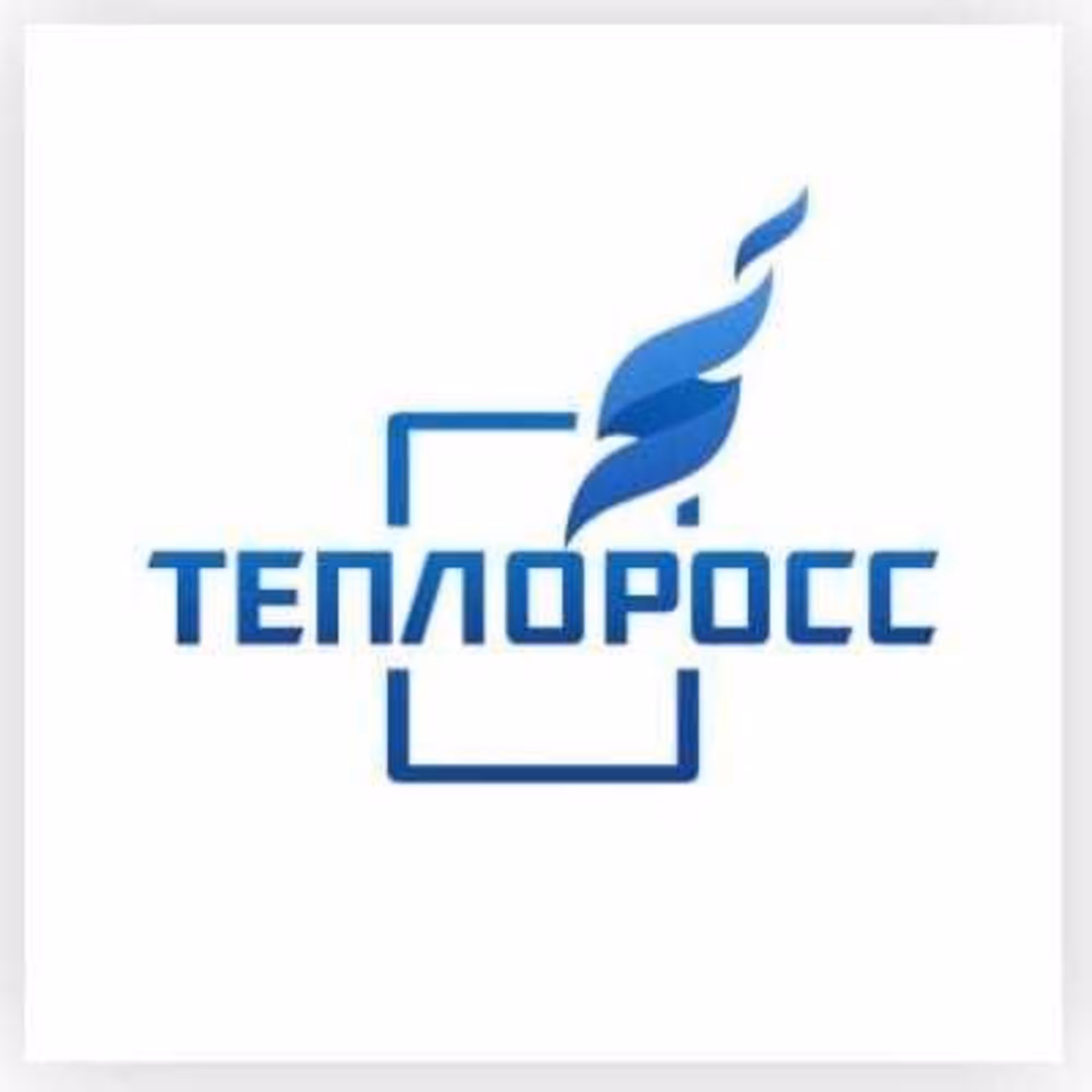 Газовый котел настенный TeploROSS ( Теплоросс) 20DY +дымоход на 200 кв (1 / 6)