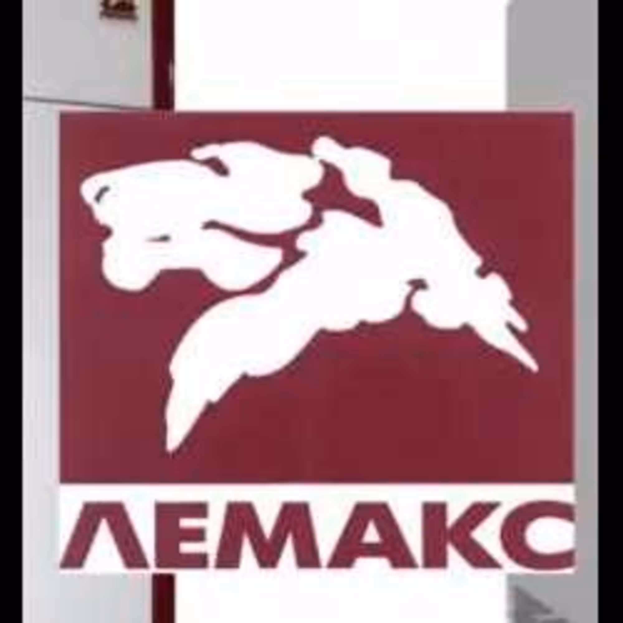 Газовый котел Лемакс КСГ-10 с УГ-12 напольный до 100 кв (1 / 5)