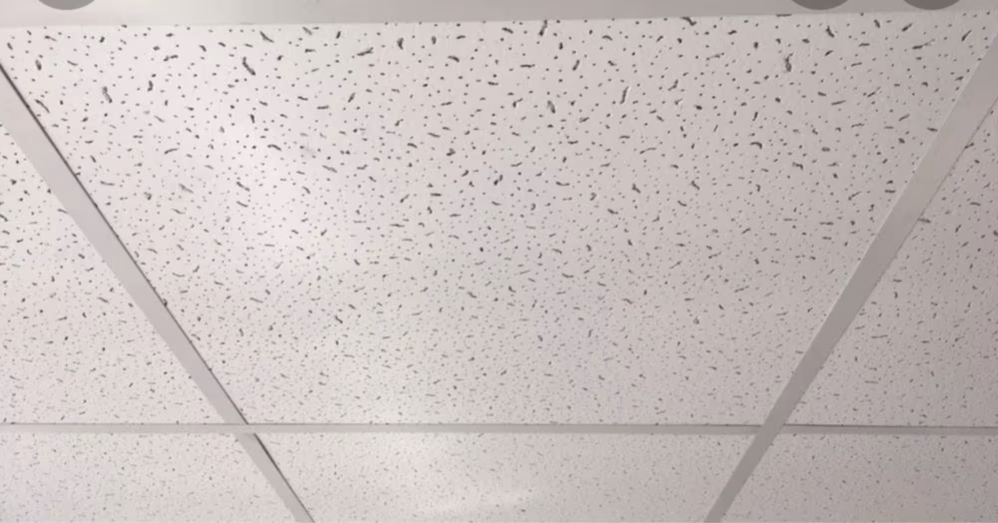 Потолки Армстронг (2 / 5)