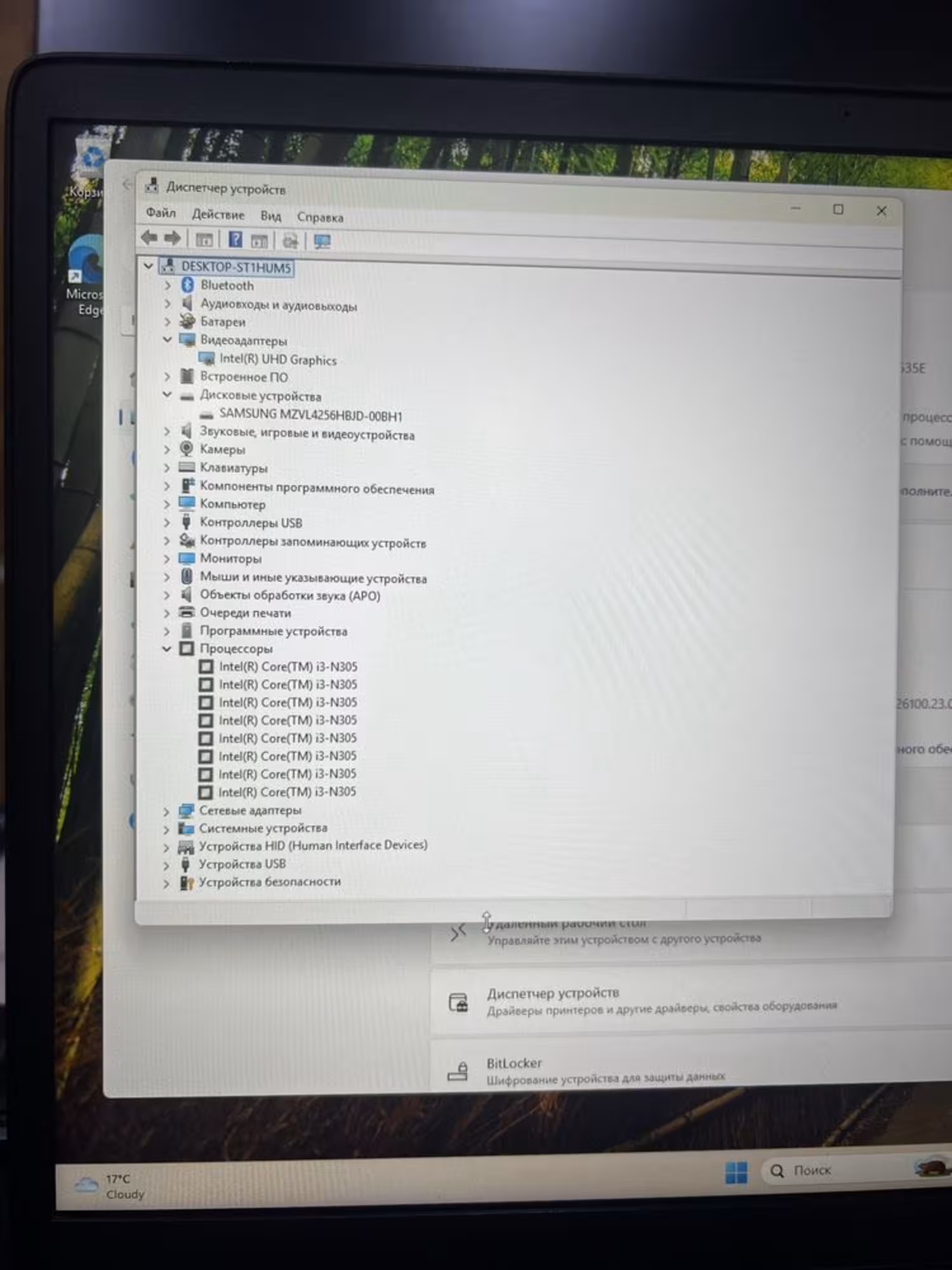 Офисный ноутбук HP 17.3" i3-N305 / 8GB / SSD 256GB (3 / 4)