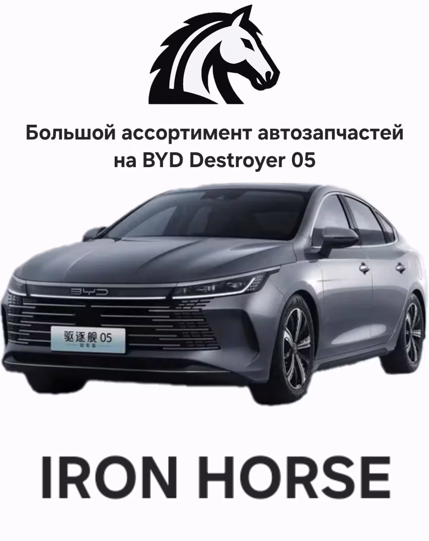 Передние фары на BYD Destroyer 05 (1 / 4)
