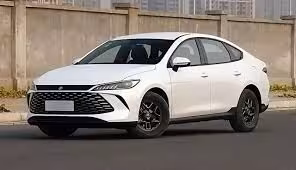 Фары и другие запчасти на BYD Qin Plus (1 / 1)