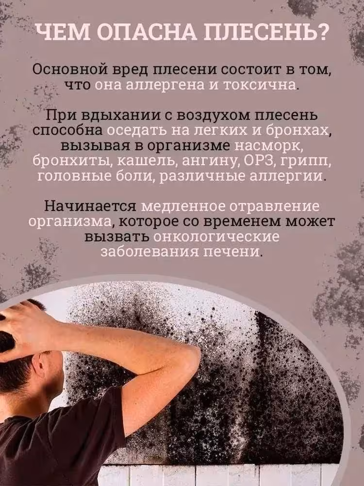 Уничтожитель плесени 8в1 GOODHIM 5л Доставка по Астане и РК Нажимайте! (4 / 8)