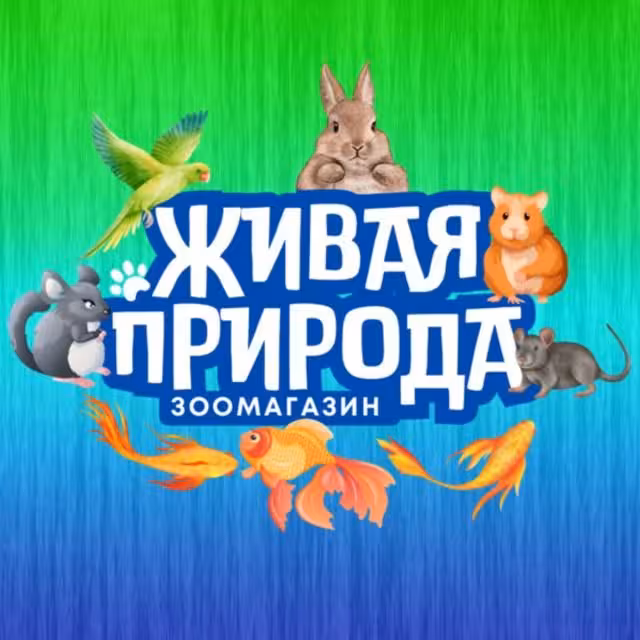 Логотип или фото профиля