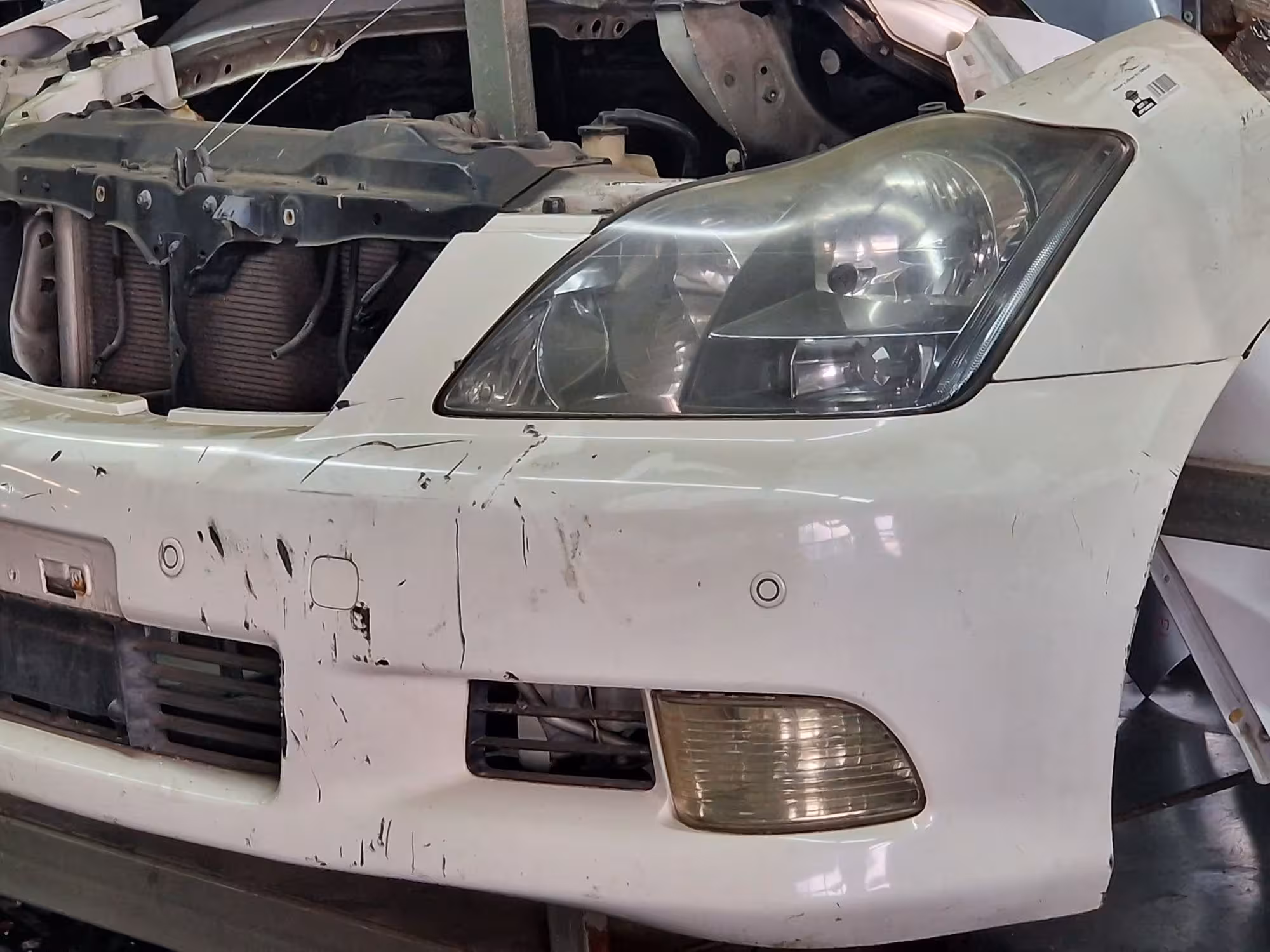 Носкат,морда Toyota Crown (1 / 3)