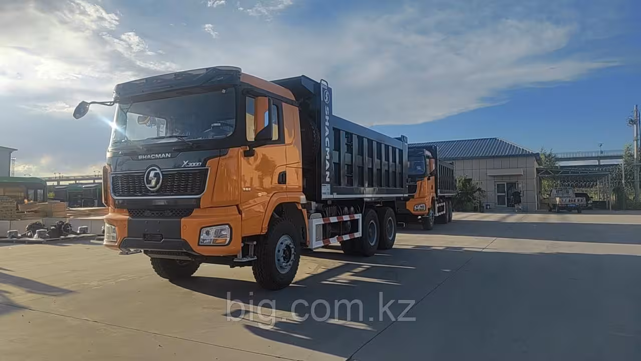 Самосвал SHACMAN X3000 6х4 (3 / 10)