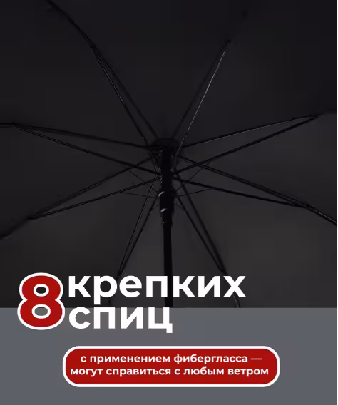 Зонт катана (2 / 3)