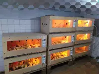 Брудер ц 70