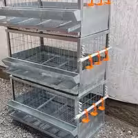 Клетка для перепела боденеге