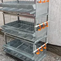 Клетка для перепела боденеге