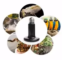 Керамическая лампа