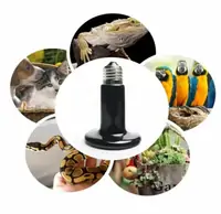 Керамическая лампа