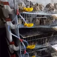 Поилка капельный автоматический 250,00 KZT