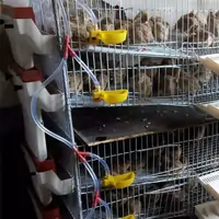 Поилка капельный автоматический 250,00 KZT