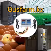 Двухканальный терморегулятор W1088