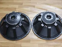 Пассивные сабвуферы LNM PROTECH TS21