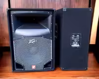 Фирменные пассивные колонки PEAVEY SP2