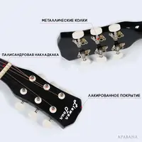 Акустическая гитара Liewen Toun AR38 черный