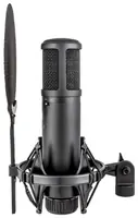 Проводной микрофон студийный SE Electronics sE2200 BK