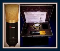 Сценический проводной микрофон S-100