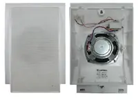 Настенный громкоговоритель WS-10T