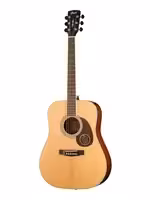 Акустическая гитара Cort EARTH100-NAT-WBAG