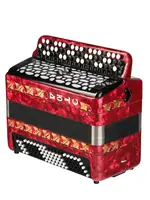 Баян ученический двухголосный Этюд-205М2, 55х100-II, красный, Тульская гармонь BN-40-RD