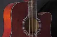 Акустическая гитара, Foix FFG-1041MH