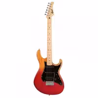 Электрогитара Cort G200DX-JSS