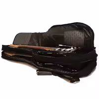 Чехол для двух электрогитар, утепленный, Gig Bag, Fender 0991582006