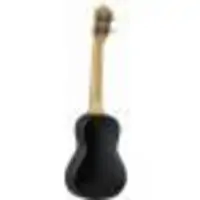 Укулеле концерт Terris PLUC23BK