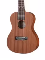 Укулеле концертный, Ramis RC-01