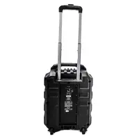 Акустическая система, портативная на колесах, с аккумулятором, 25Вт, Leem PR-6