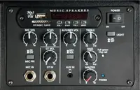 Акустическая система, портативная на колесах, с аккумулятором, 25Вт, Leem PR-6