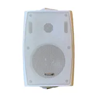 Настенная акустическая система белая, Tarboc, FT-204