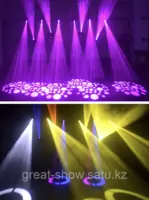 Поворотные световые головы SILVER STAR SHOW SPOT 575 в аренду