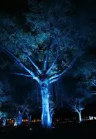 Светодиодный светильник для освещения деревьев 12Вт - Теплый белый