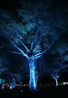 Светодиодный светильник для освещения деревьев 12Вт - Зеленый