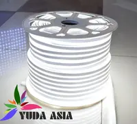 Гибкий неон Холодный белый