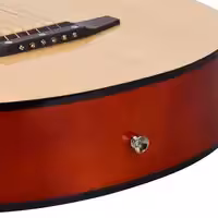 Акустическая гитара с вырезом The Olive Tree R38 N