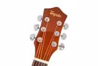 Акустическая гитара Tayste T-402 N