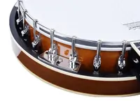 Банджо Tayste T-BJ3-5