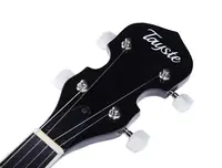 Банджо Tayste T-BJ3-5