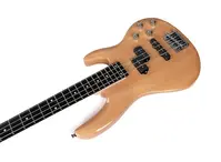 Бас гитара Smiger Bass G-B8-4N+ комбо