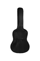 Чехол для гитары PG-A10-38
