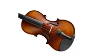 Скрипка Violin GVT04 4/4 массив ели и клена