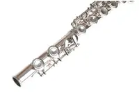 Флейта Kaysen GSW-08 с футляром