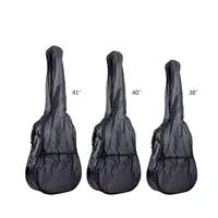 Чехол для гитары PG-A10-40