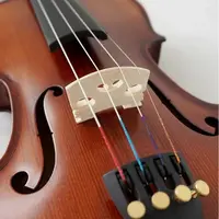 Скрипка Violin MVT700 4/4 резной массив ели и огненный клен